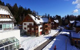 Antela, 142 M2 Appartment For 12 Person In Mariborsko Pohorje